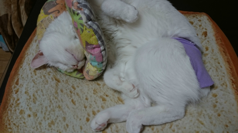 f:id:gosaku13:20180711070836j:image