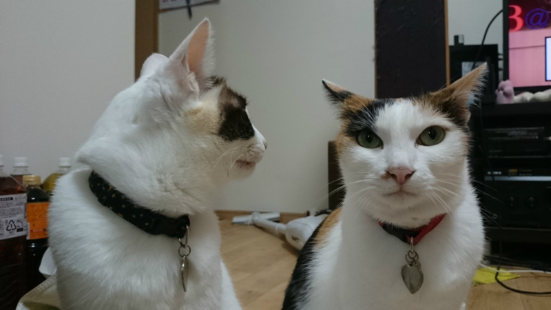 f:id:gosaku13:20180715214000j:image