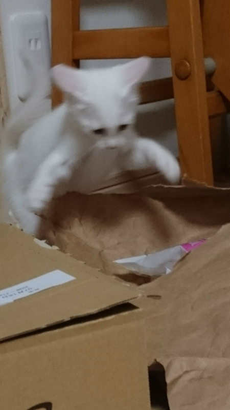 f:id:gosaku13:20180718100512j:image