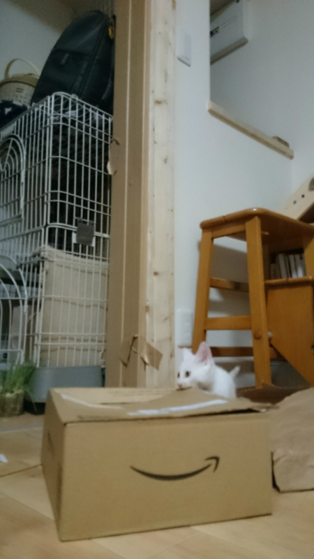 f:id:gosaku13:20180718125247j:image