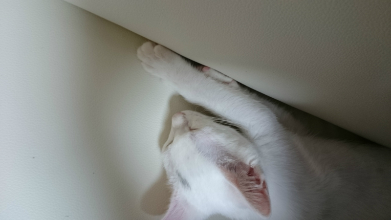 f:id:gosaku13:20180806200556j:image