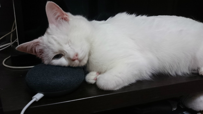 f:id:gosaku13:20180824204327j:image