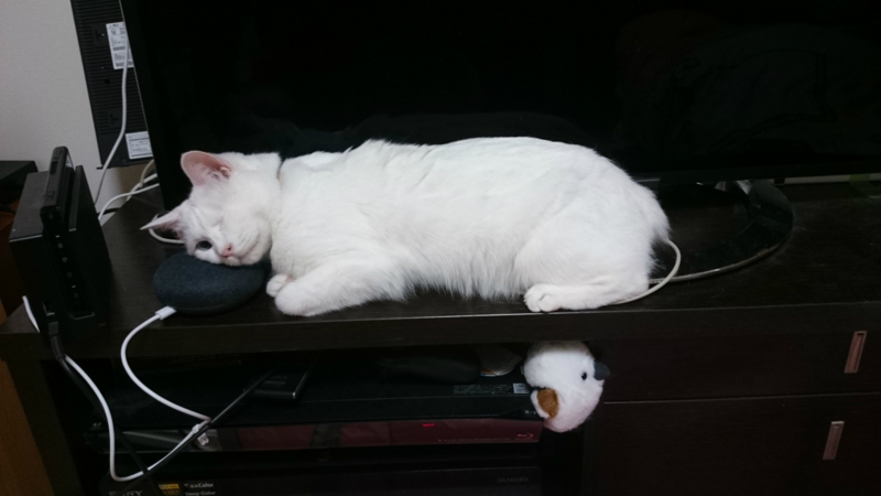 f:id:gosaku13:20180824204330j:image