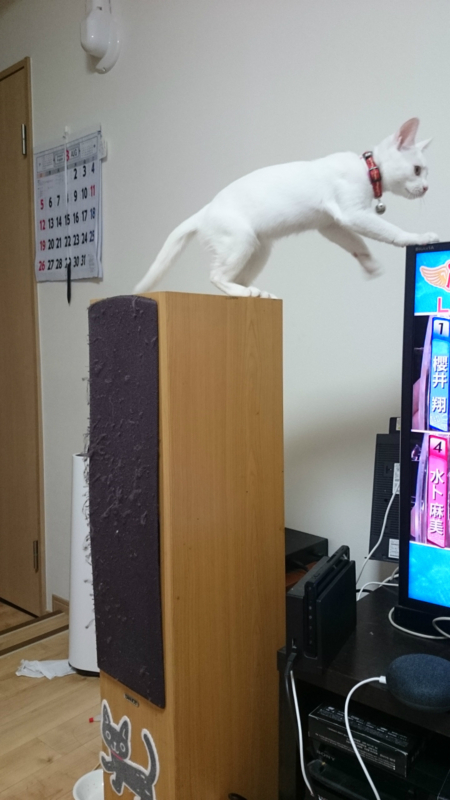 f:id:gosaku13:20180826233157j:image