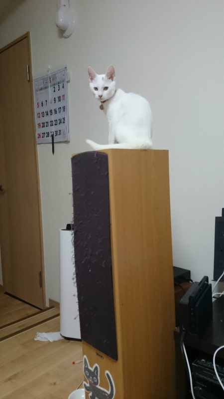 f:id:gosaku13:20180826233200j:image