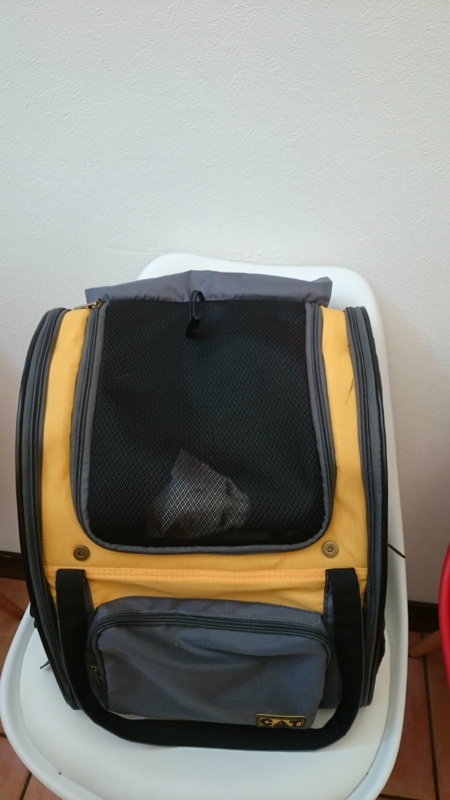 f:id:gosaku13:20180826233204j:image