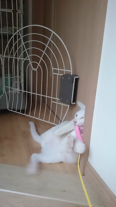 f:id:gosaku13:20180903195936j:image