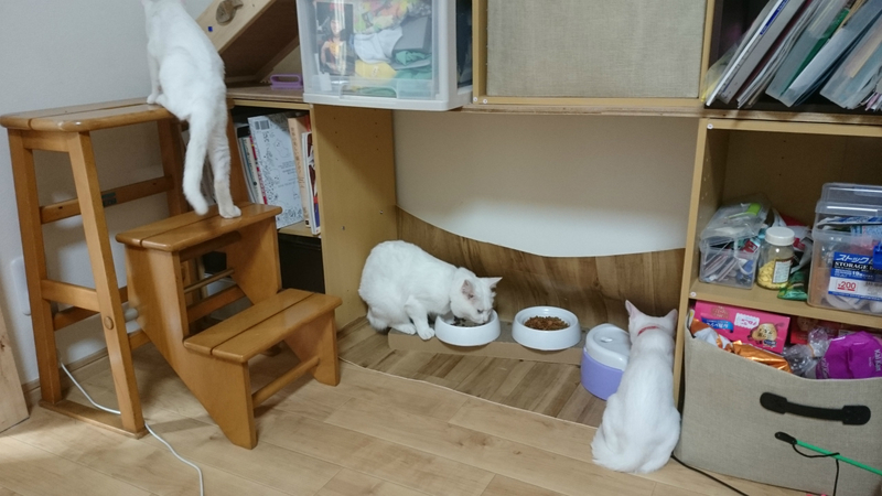 f:id:gosaku13:20180906182521j:image