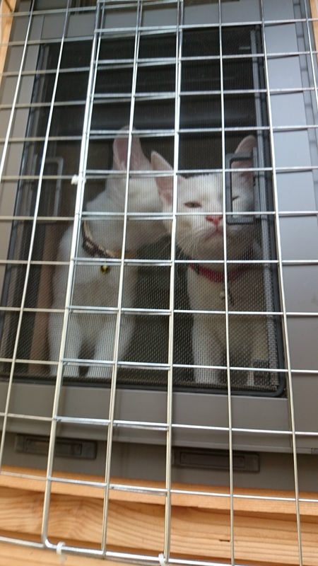 f:id:gosaku13:20180909213615j:image