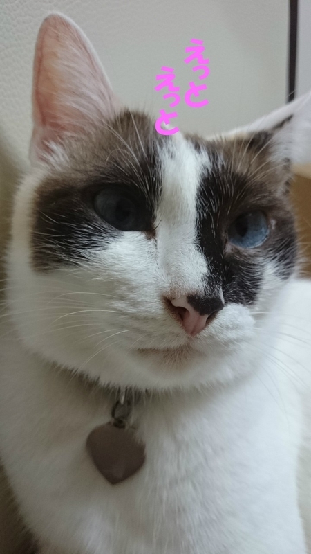 f:id:gosaku13:20180918210328j:image