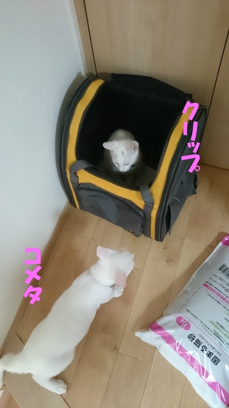 f:id:gosaku13:20180919204313j:image