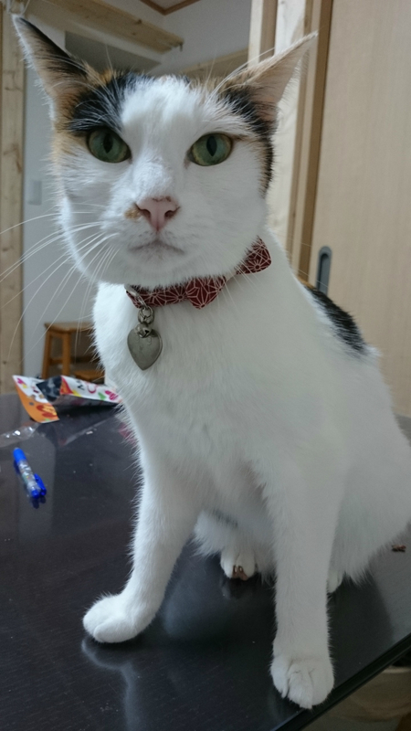 f:id:gosaku13:20180923204352j:image