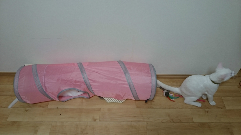 f:id:gosaku13:20180924204746j:image