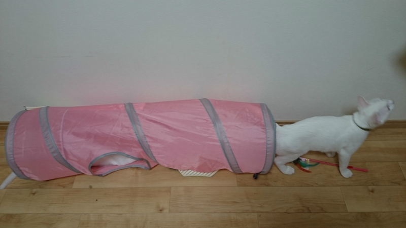 f:id:gosaku13:20180924204749j:image