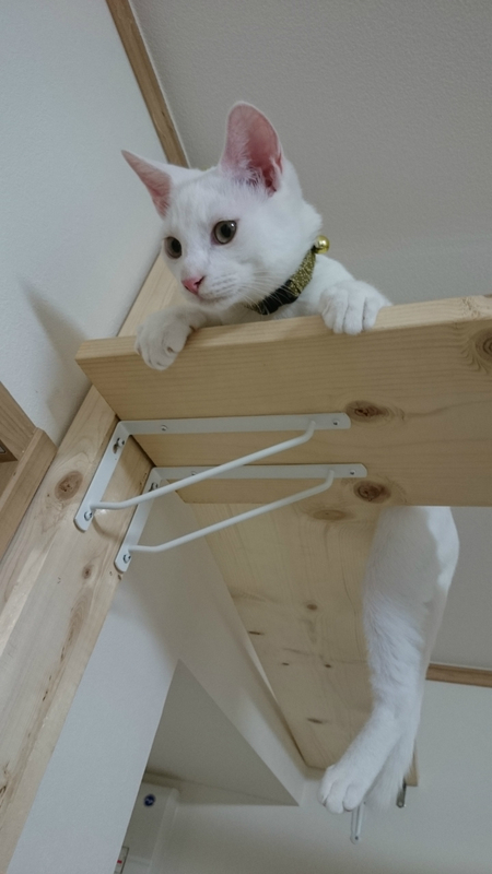 f:id:gosaku13:20180925203725j:image