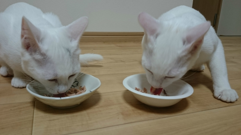 f:id:gosaku13:20180928204610j:image