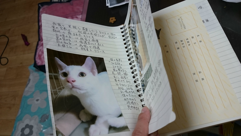 f:id:gosaku13:20180928205041j:image