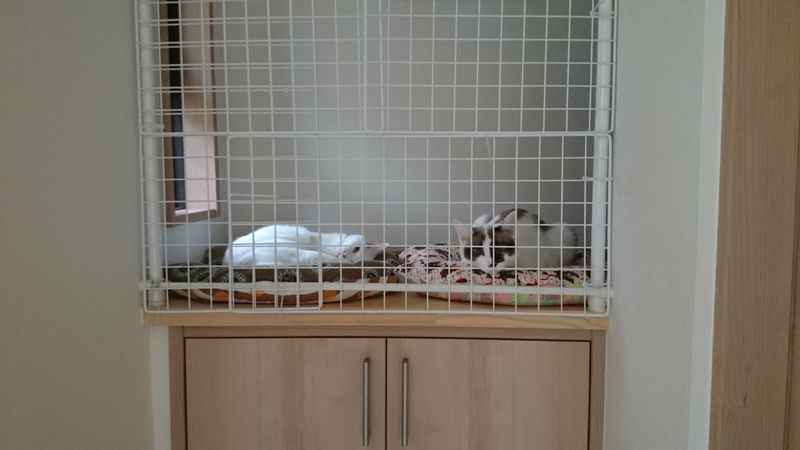 f:id:gosaku13:20180930184609j:image