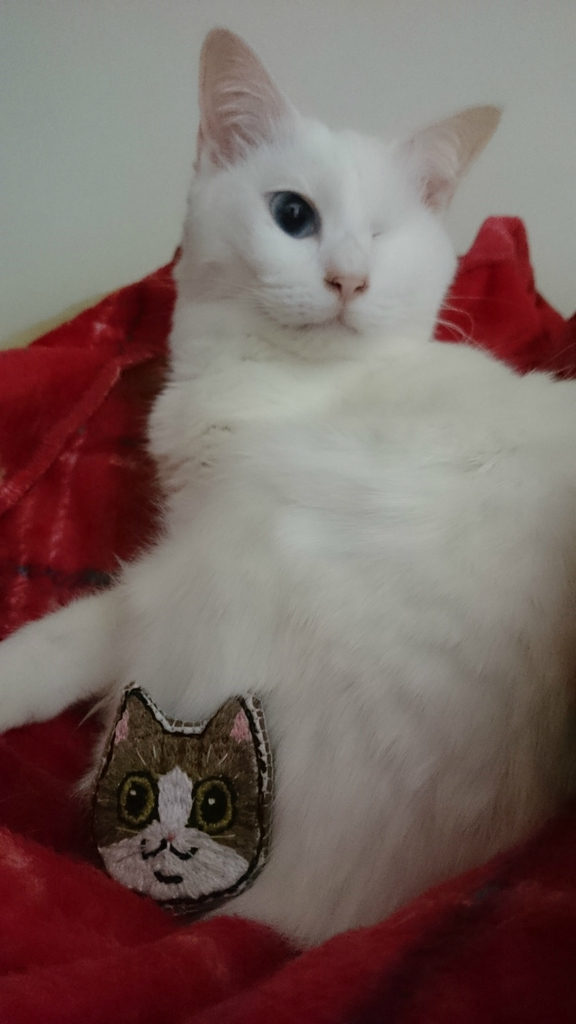 f:id:gosaku13:20190228163518j:plain