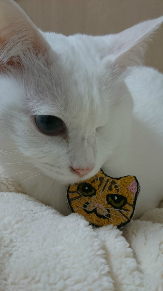 f:id:gosaku13:20190314201240j:plain