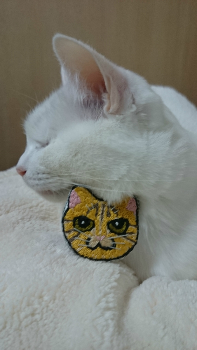 f:id:gosaku13:20190314201327j:plain