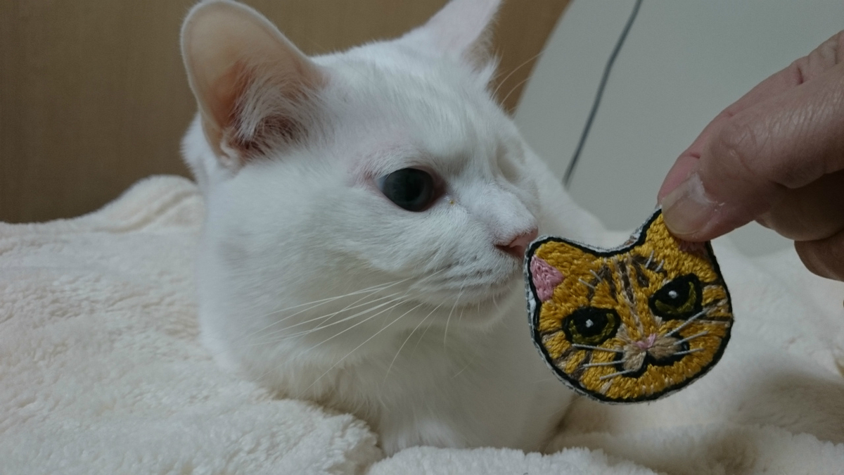 f:id:gosaku13:20190314201426j:plain