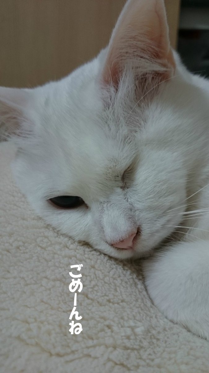 f:id:gosaku13:20190407232917j:plain