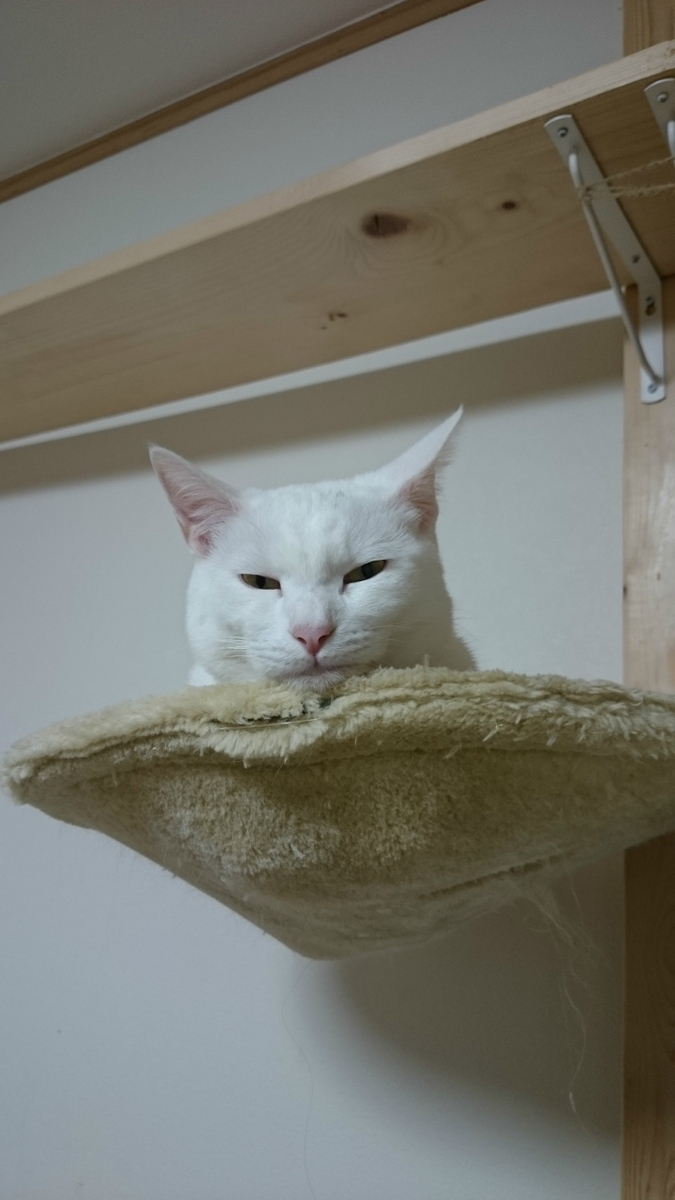 f:id:gosaku13:20190408212807j:plain