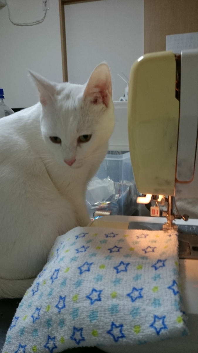 f:id:gosaku13:20190410202432j:plain