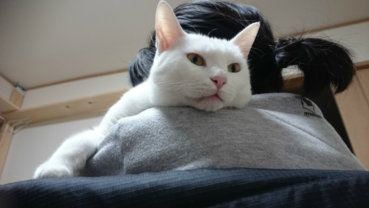 f:id:gosaku13:20190414194220j:plain