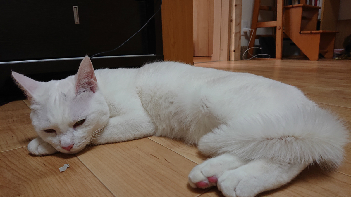 f:id:gosaku13:20190417200424j:plain