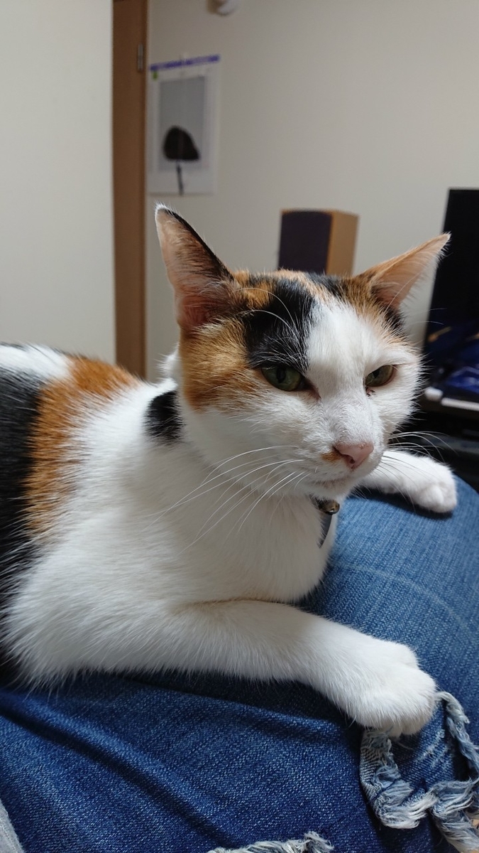 f:id:gosaku13:20190418202701j:plain