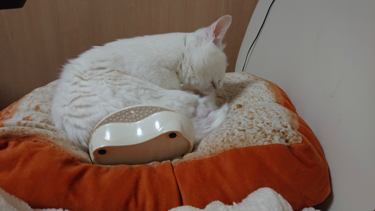 f:id:gosaku13:20190419230811j:plain