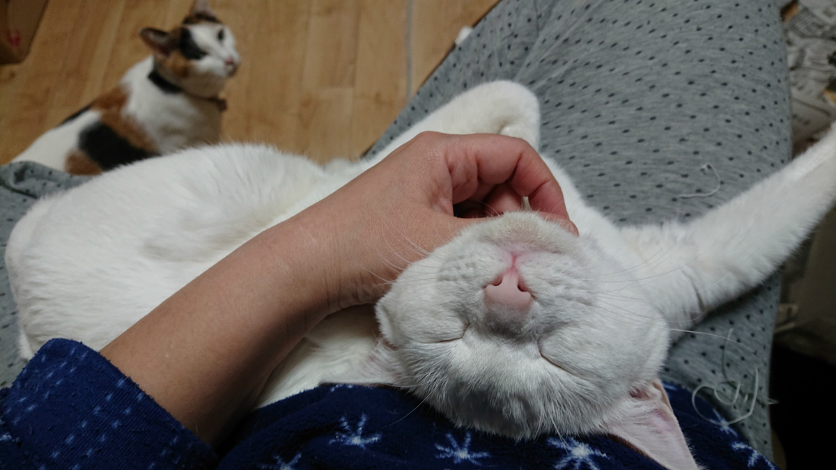 f:id:gosaku13:20190420193422j:plain