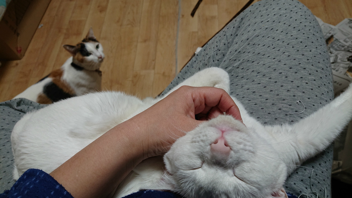 f:id:gosaku13:20190420193459j:plain