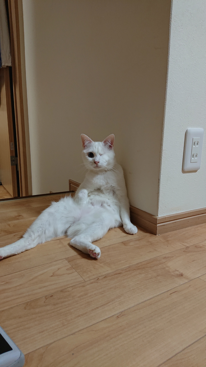 f:id:gosaku13:20190423214524j:plain