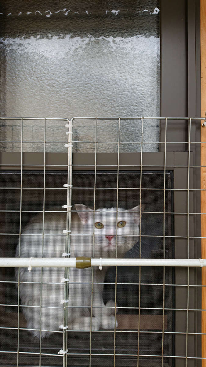 f:id:gosaku13:20190424200642j:plain