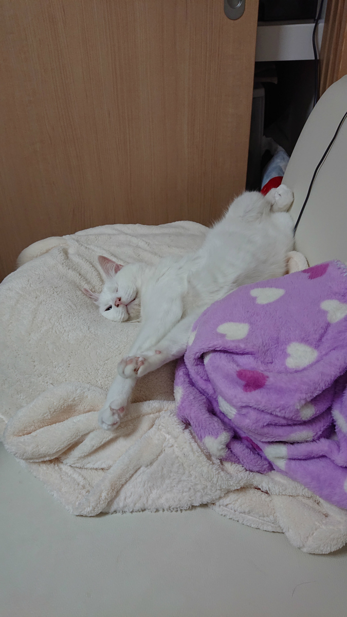 f:id:gosaku13:20190425193126j:plain