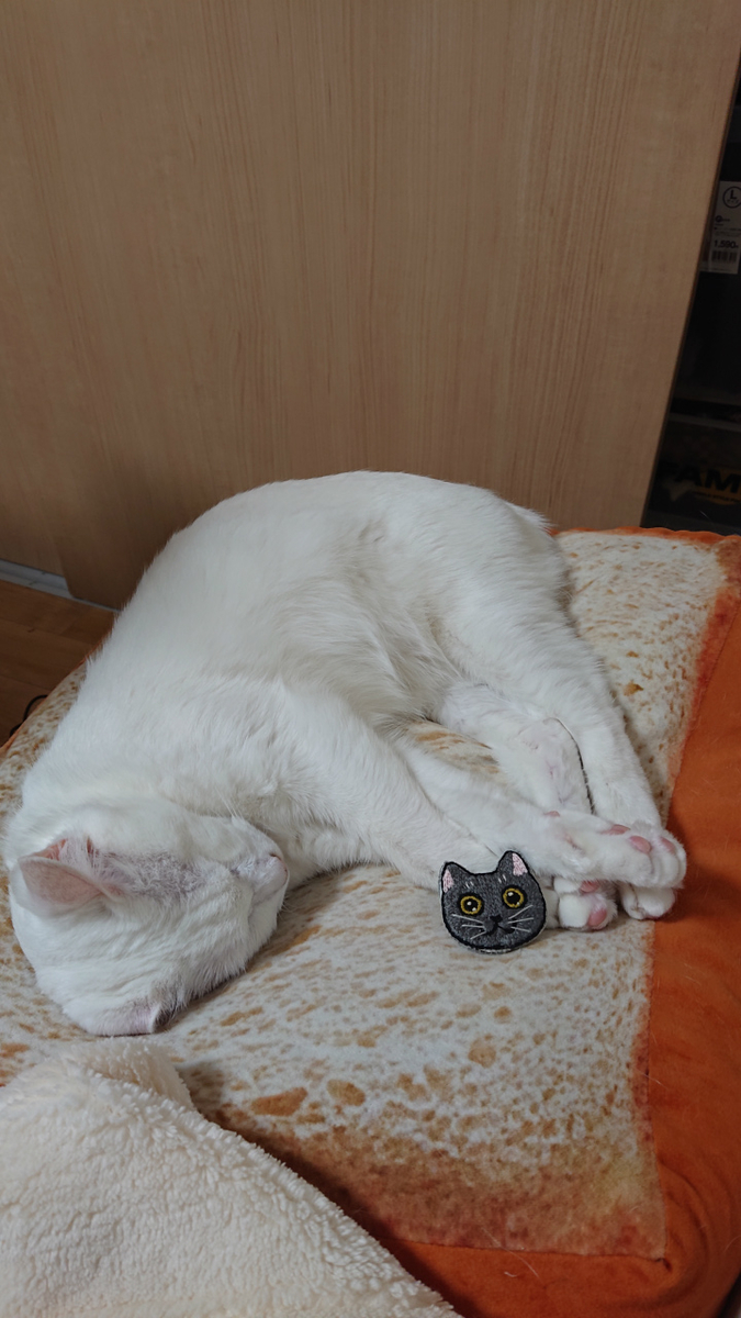 f:id:gosaku13:20190429202252j:plain