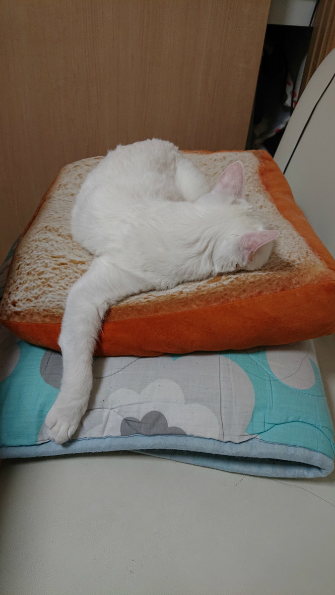 f:id:gosaku13:20190610194004j:plain