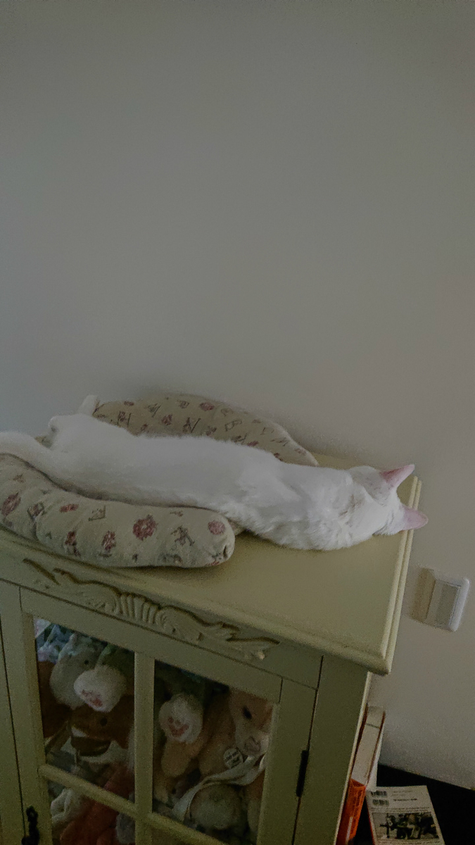 f:id:gosaku13:20190626210013j:plain