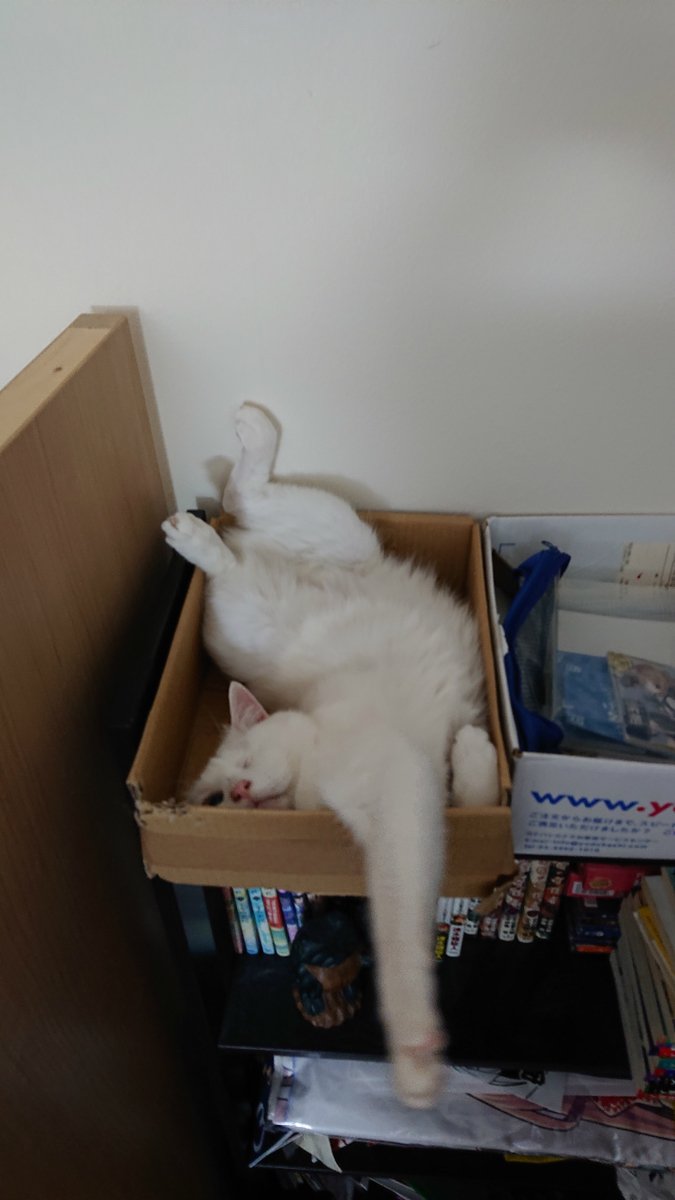 f:id:gosaku13:20190626210154j:plain