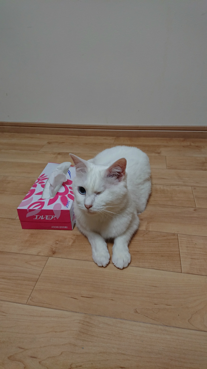 f:id:gosaku13:20190630193510j:plain