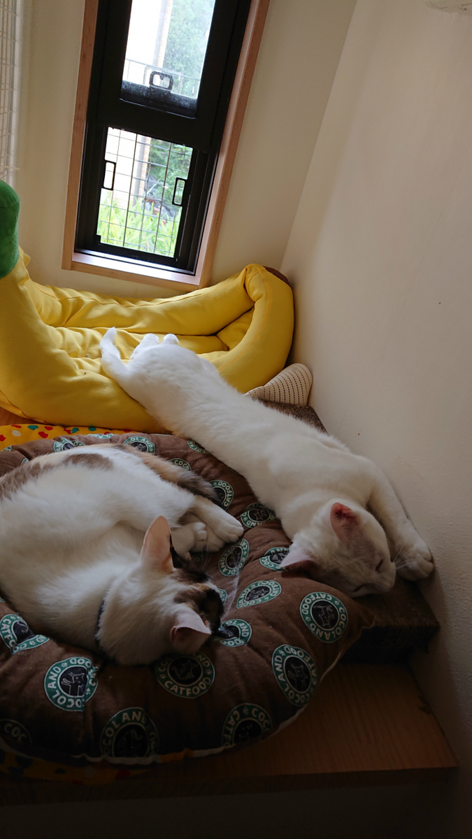 f:id:gosaku13:20190701194845j:plain