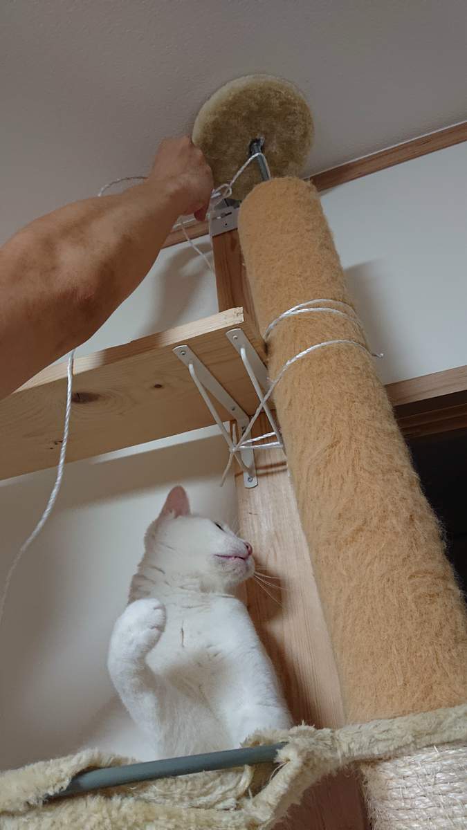 f:id:gosaku13:20190705211620j:plain