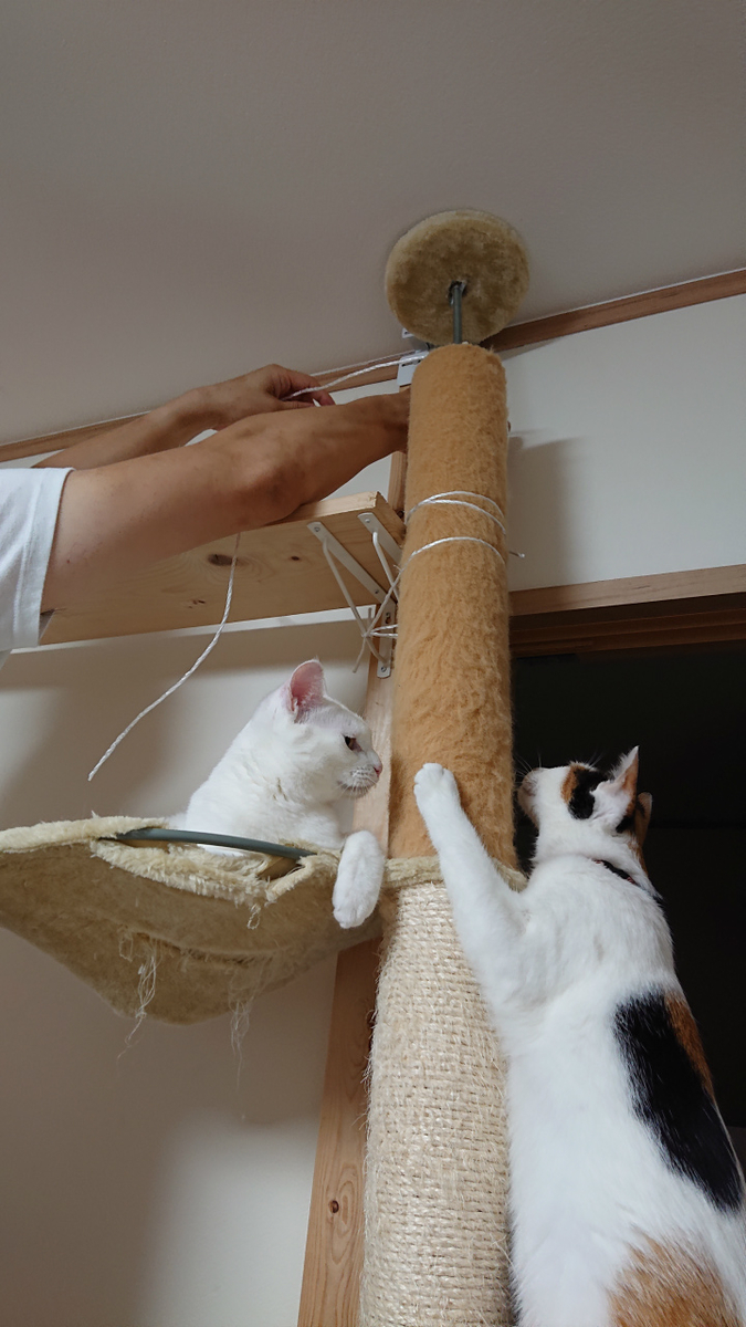 f:id:gosaku13:20190705211742j:plain