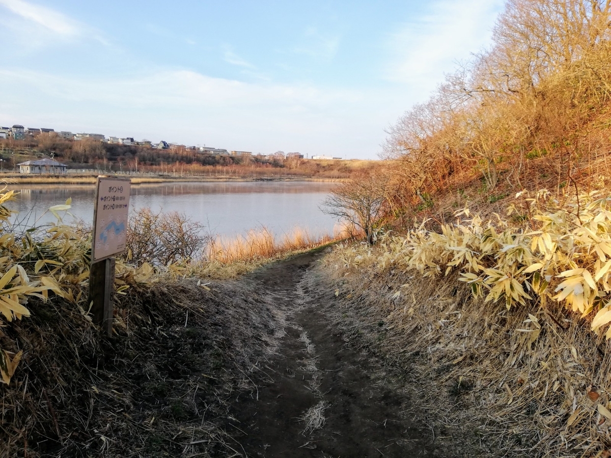 f:id:gossy54200:20200425195947j:plain