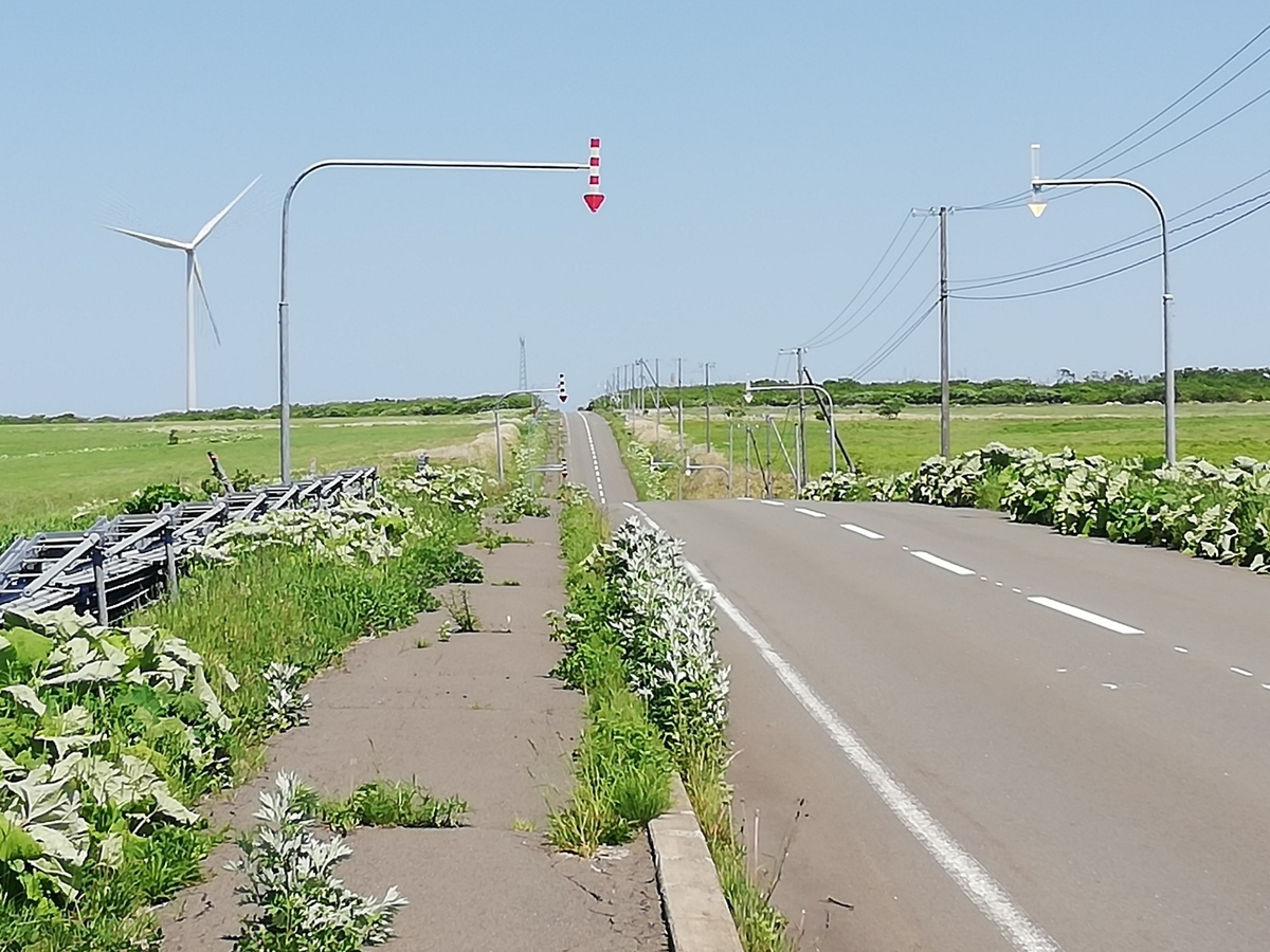 f:id:gossy54200:20200616201145j:plain