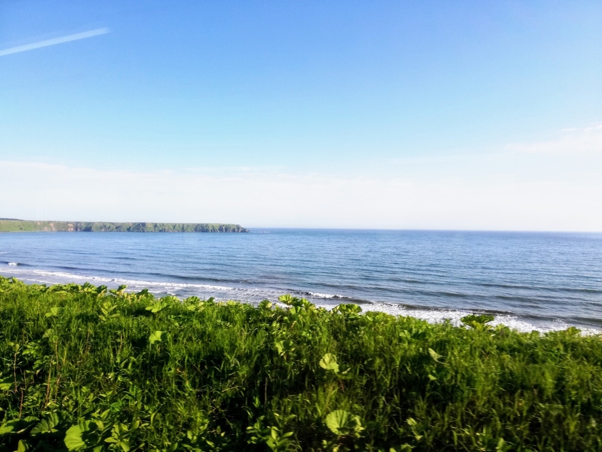 f:id:gossy54200:20200620200926j:plain