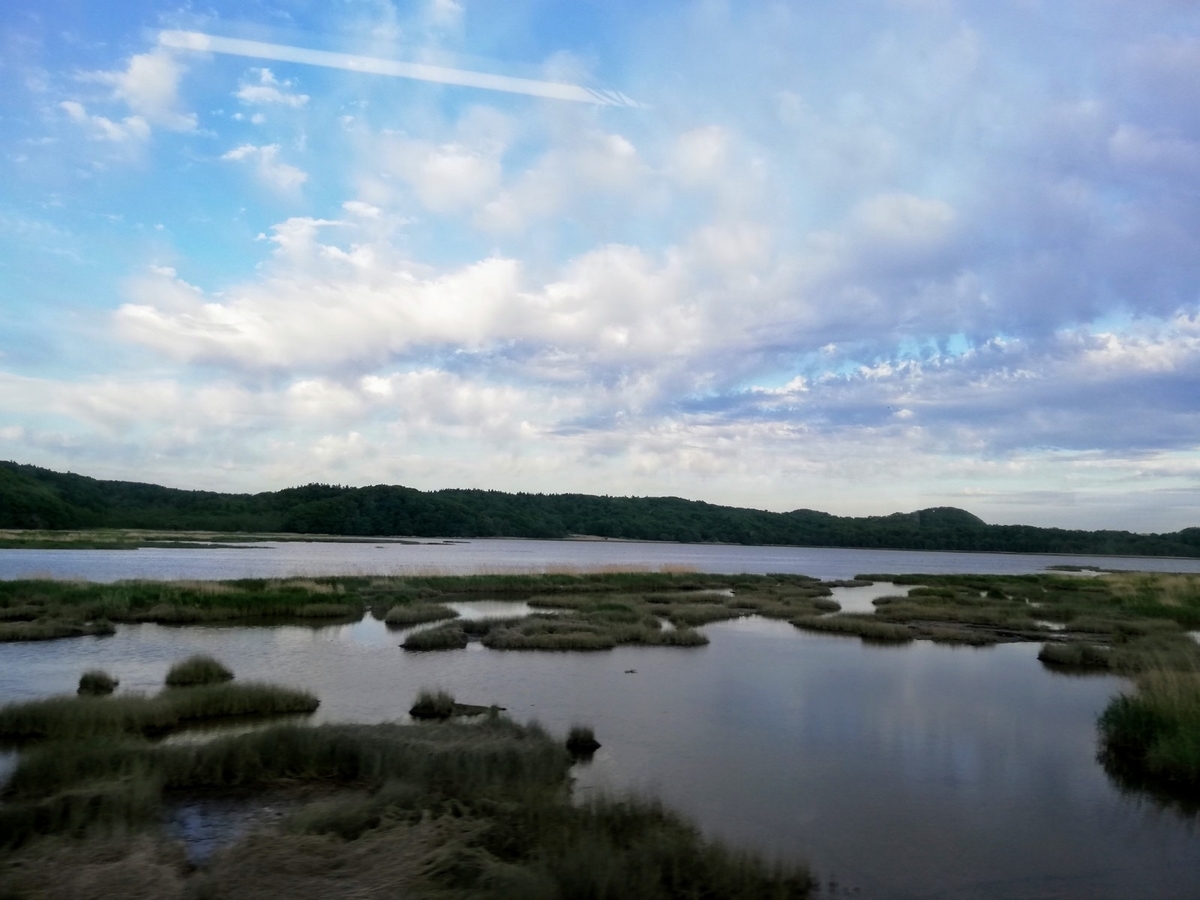 f:id:gossy54200:20200620201510j:plain